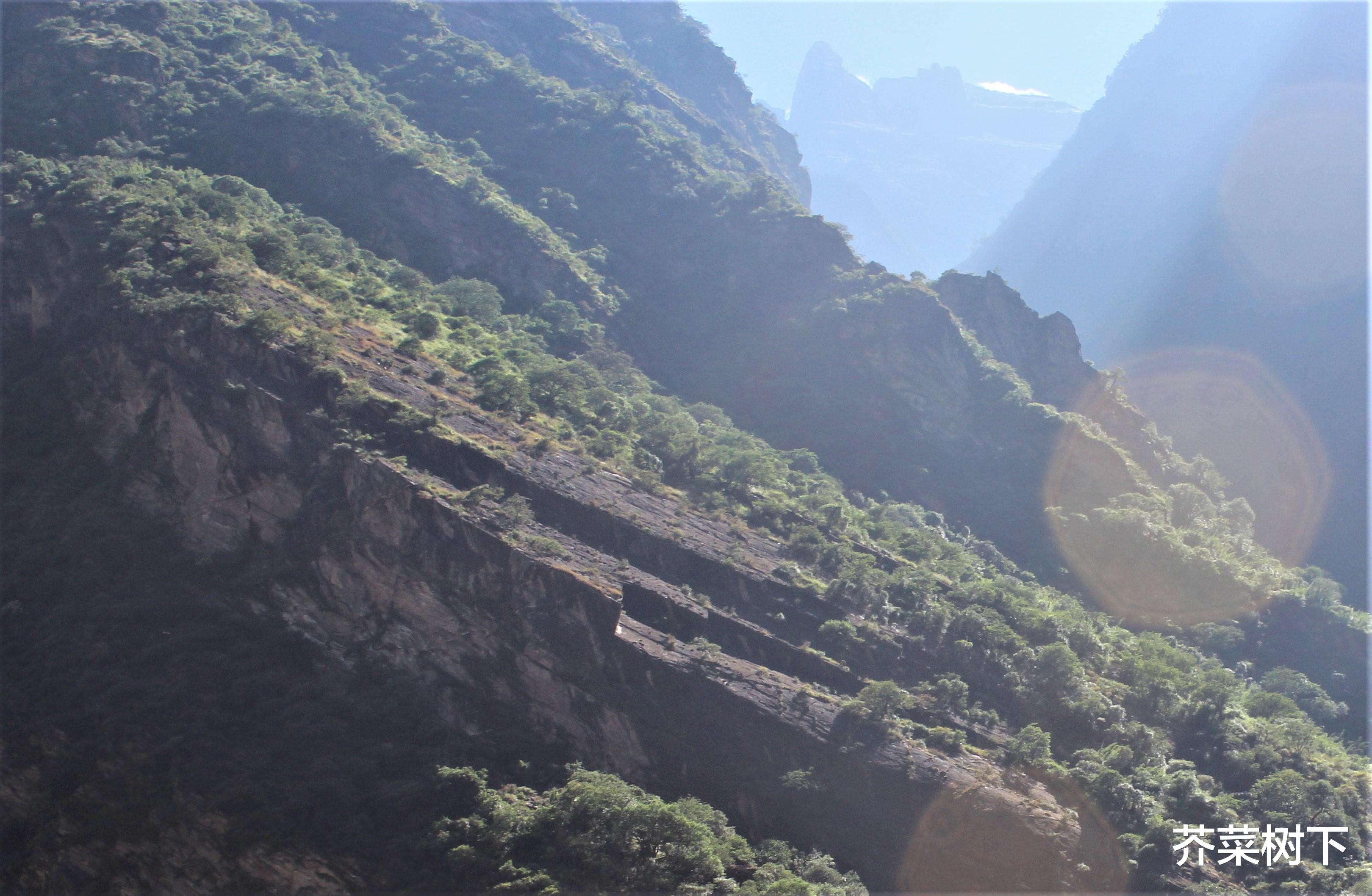 |在混乱中,无法求全