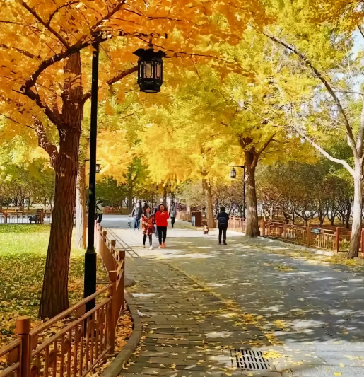 |女儿说最近下班，感觉有人在跟踪她。结果却让人很意外