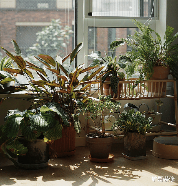 房子住了6年,90后宝妈家“干净如新”,看到家里的细节:明白了