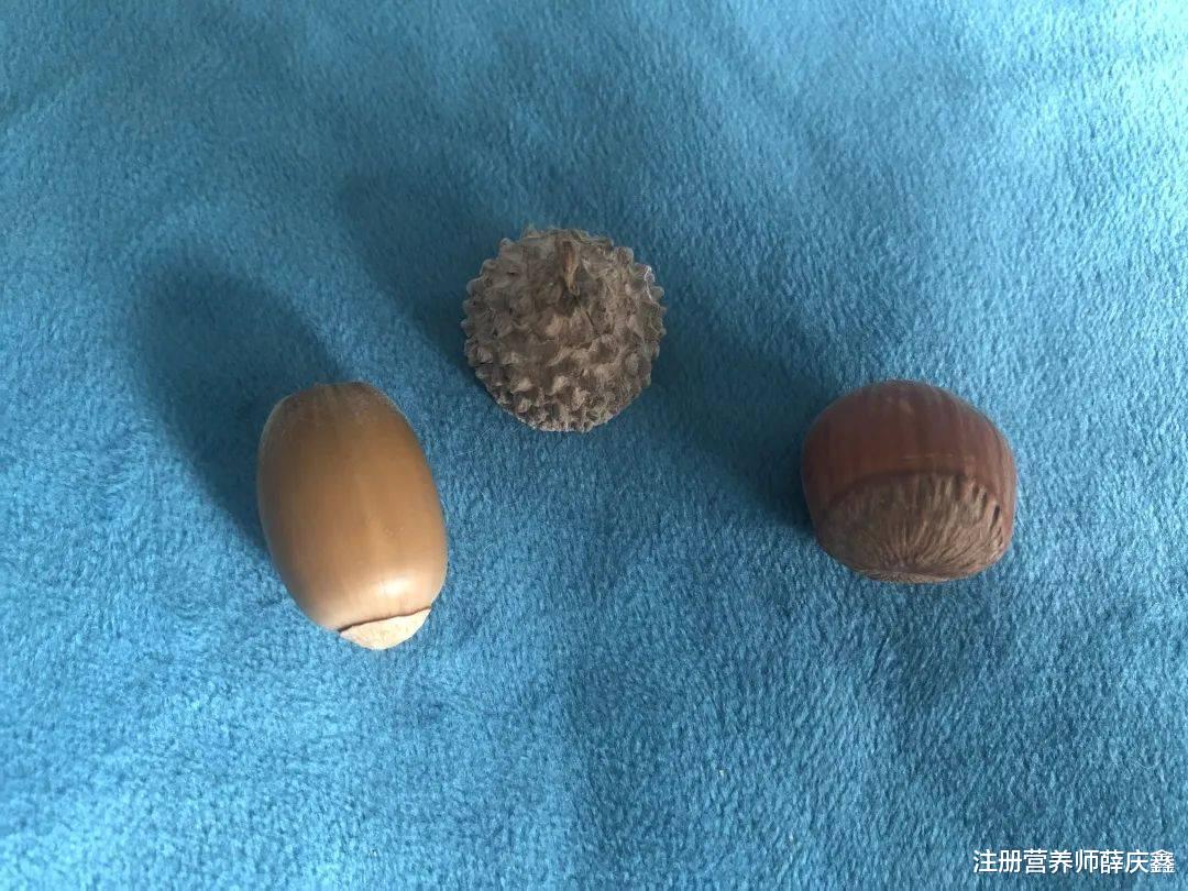 银耳|4种市面上不常见的坚果,口感独特,你吃过哪个?