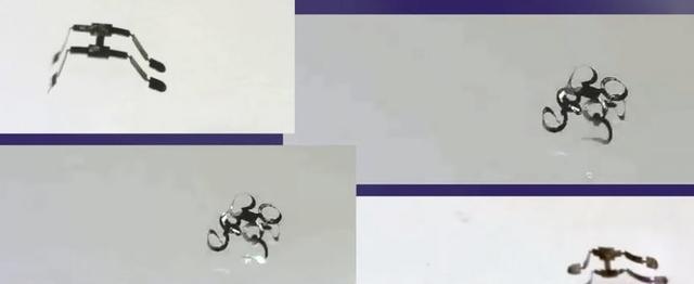 比跳蚤还小的亚毫米级机器人,放在身上都发现不了
