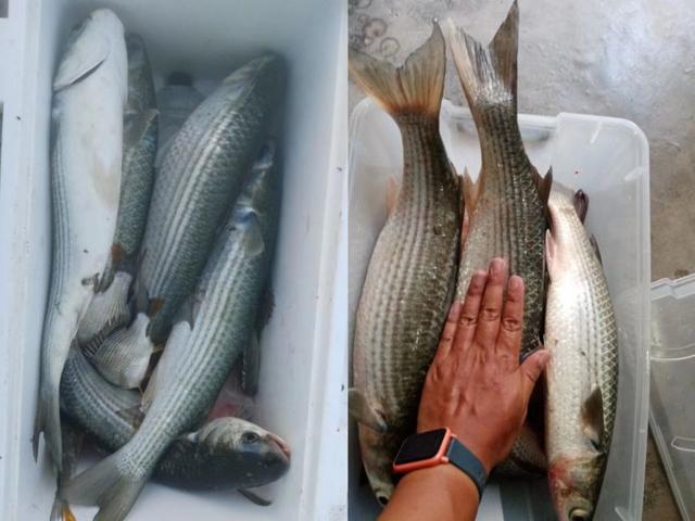 |【作钓报告】2022钓鱼之路已走完,2023开拓新的天地解锁新鱼种