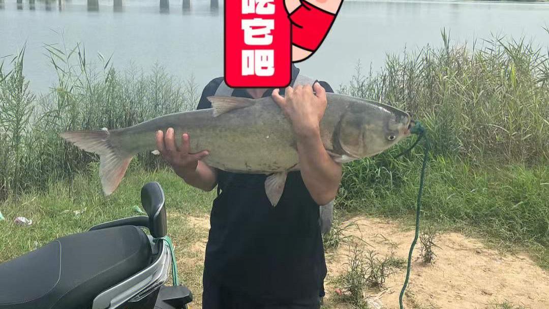 |做好以下“4个基础”，分分钟都能钓到大鱼！