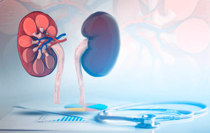 |肾小球滤过率下降了还能恢复吗？这篇文章告诉你答案