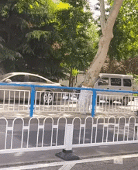 龙鱼|“钓鱼被咬了,不过钓到了一条招财龙鱼,不亏...”