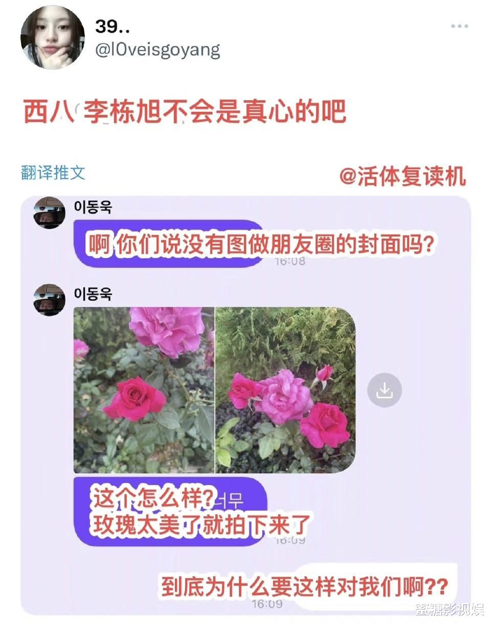 李栋旭|李栋旭终于老了？晒玫瑰花登热搜第一，网友：像小区绿化带里拍得