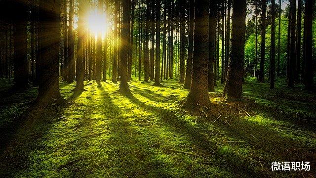 |临近30岁，拼到最后才发现：沉淀是唯一的出路