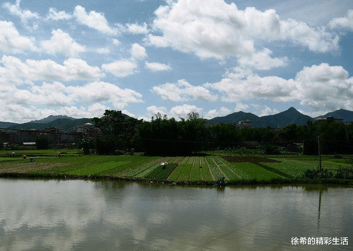 大地恩情|港乐的填词水平如何？由《大地恩情》可见一斑