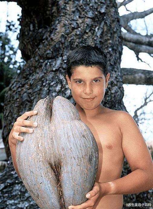 黑色素瘤|8种最“丑”的水果, 却卖得最“贵”, 吃过3种以上的算贵族