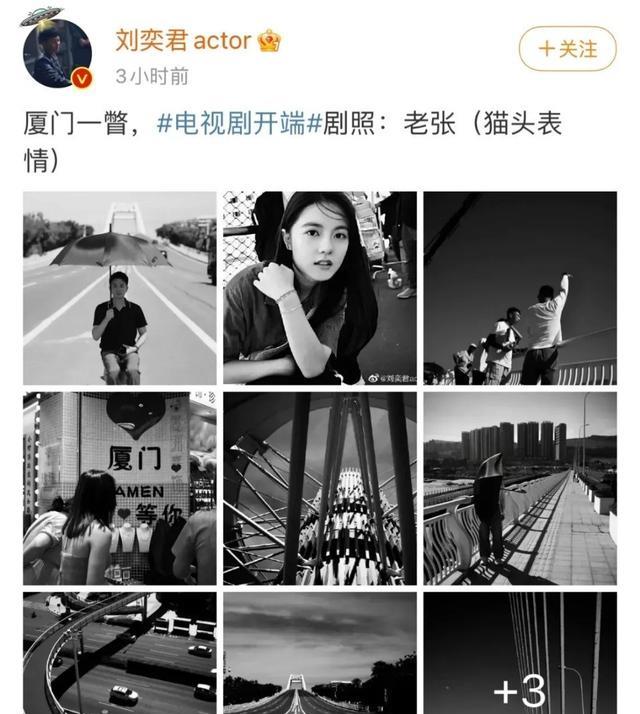 赵今麦|刘奕君和赵今麦，氛围感十足！