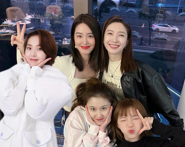 张佳宁|张佳宁带来一部女性群像剧，再演职场女强人，看阵容收视稳了