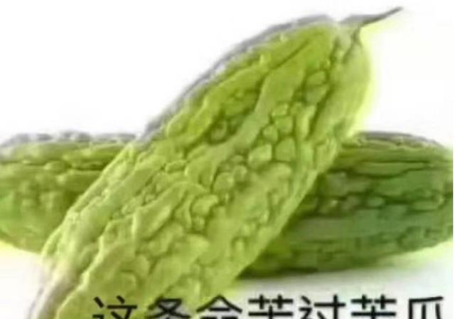 |2022人生真相：幸福不属于努力的人，属于不努力也有好日子的人