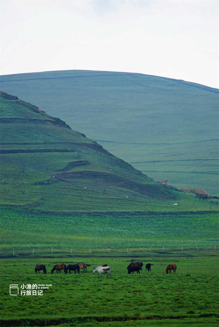 张掖|甘肃老国道边的传奇大草原，年羹尧家族流放之地，美得惊心动魄