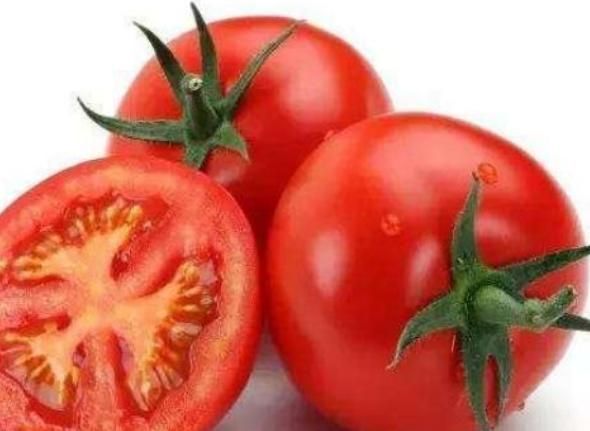 西红柿|与西红柿相克的食物有哪些?两者尽量不要一起食用,不要不放心上