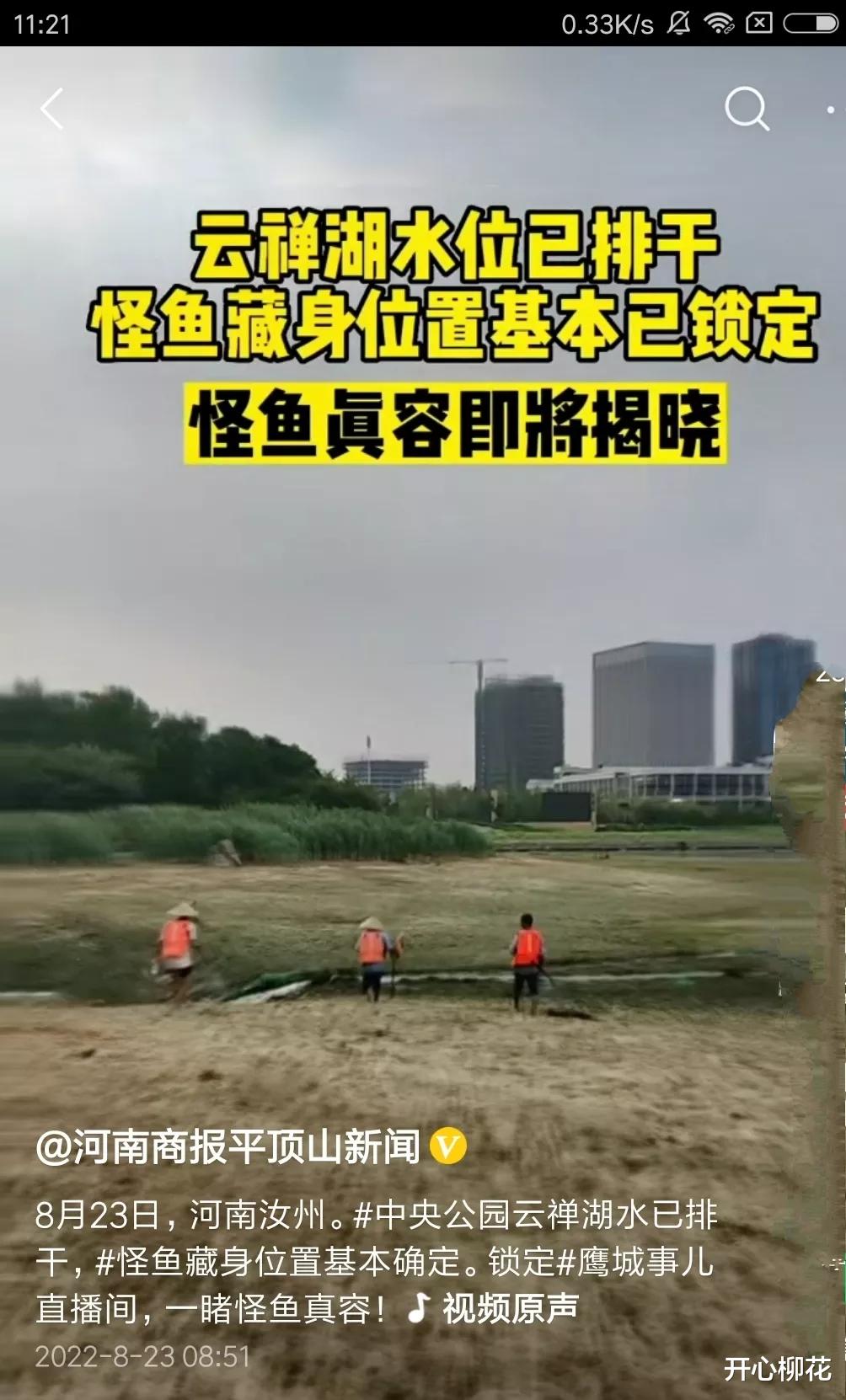 河南平顶山抽干湖水围捕“怪鱼”,这是要动真格了!
