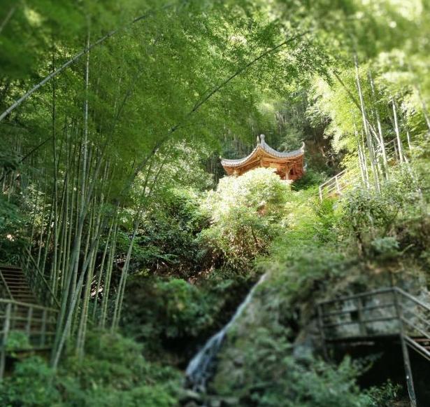 自驾|想体验“绿野仙踪”景点哪里去？杭州一自驾地，听名字就想逛！