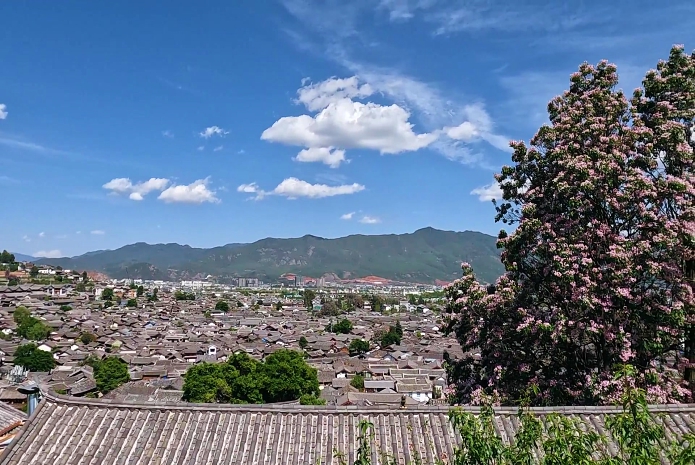 丽江古城|云南著名丽江古城,商家生意惨淡,游客消费行为减少