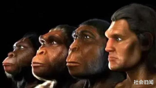 进化论解释了人类起源，它还告诉我们人类还能进化，只是模样一言难尽