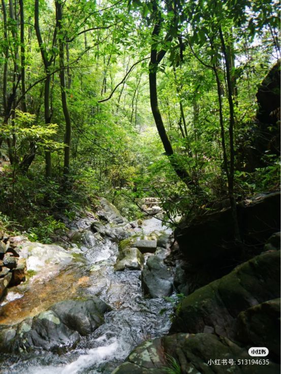 乳状云|遗落人间的星辰,奇峡仙境画中游,武陵奇峡之行全攻略!