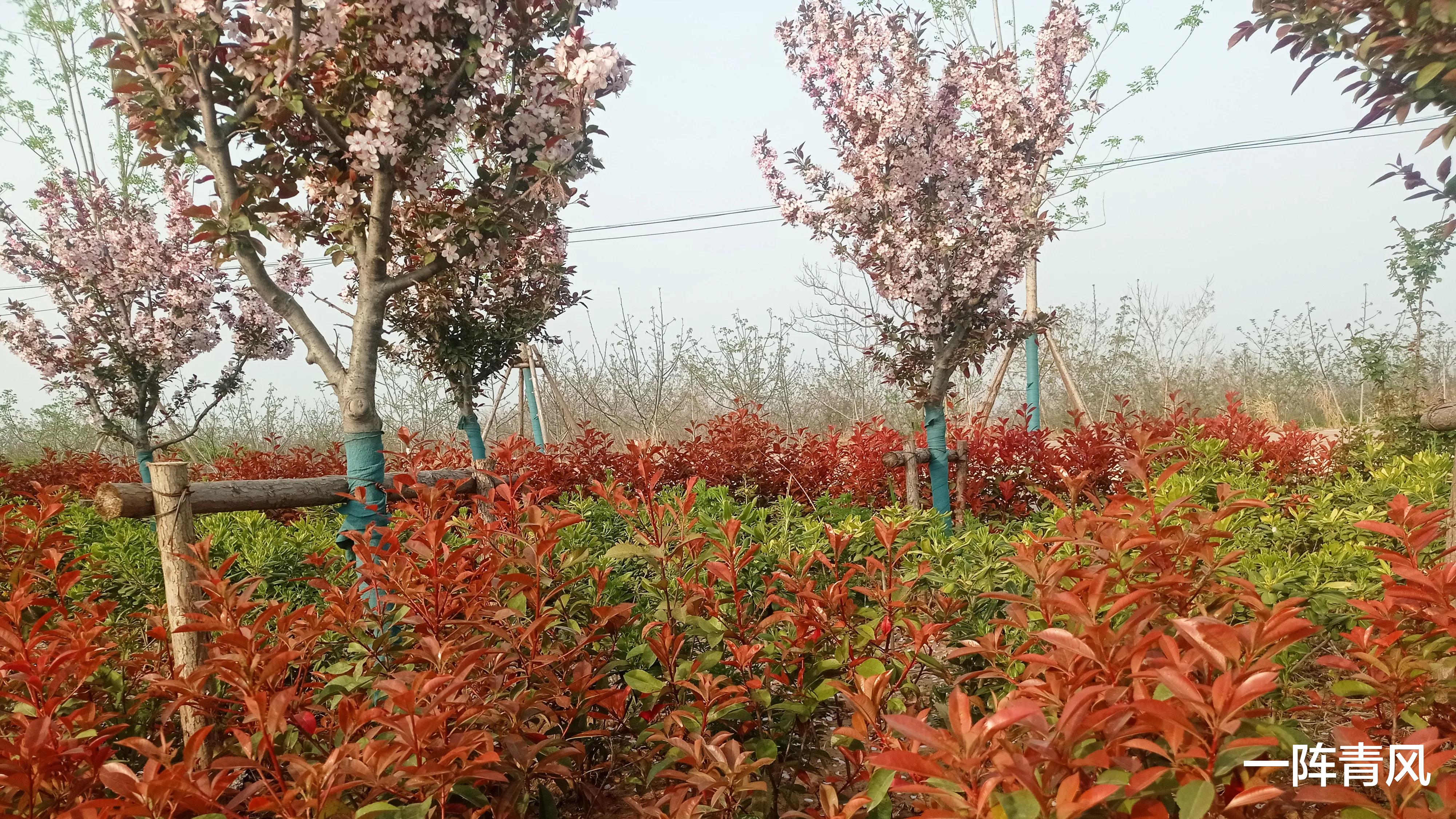 招聘|不要幻想着招聘了员工,就能让业绩好起来