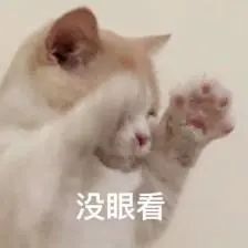 长相思|男主们都在艳压，还要女主角干嘛？