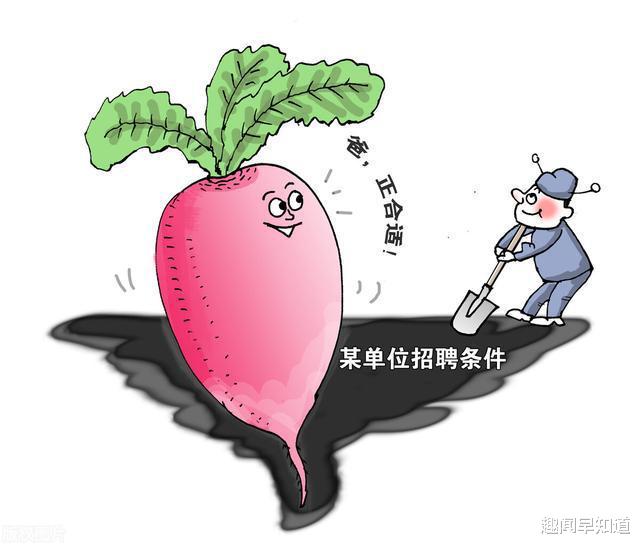 大衣|城投公司已经成为“关系户”的集中地,官二代、职工子女扎堆