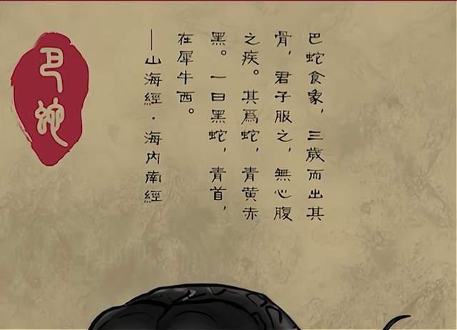 地球上真实存在过的超级巨蟒,电影大蟒蛇原型,一口可吞下远古巨鳄