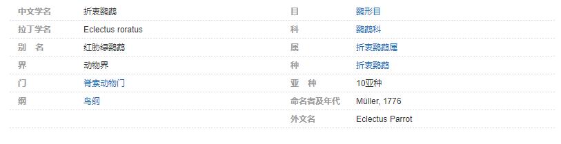 世界上会说话的鸟 十种模仿人类说话的鸟 非洲灰鹦鹉说话能力最强