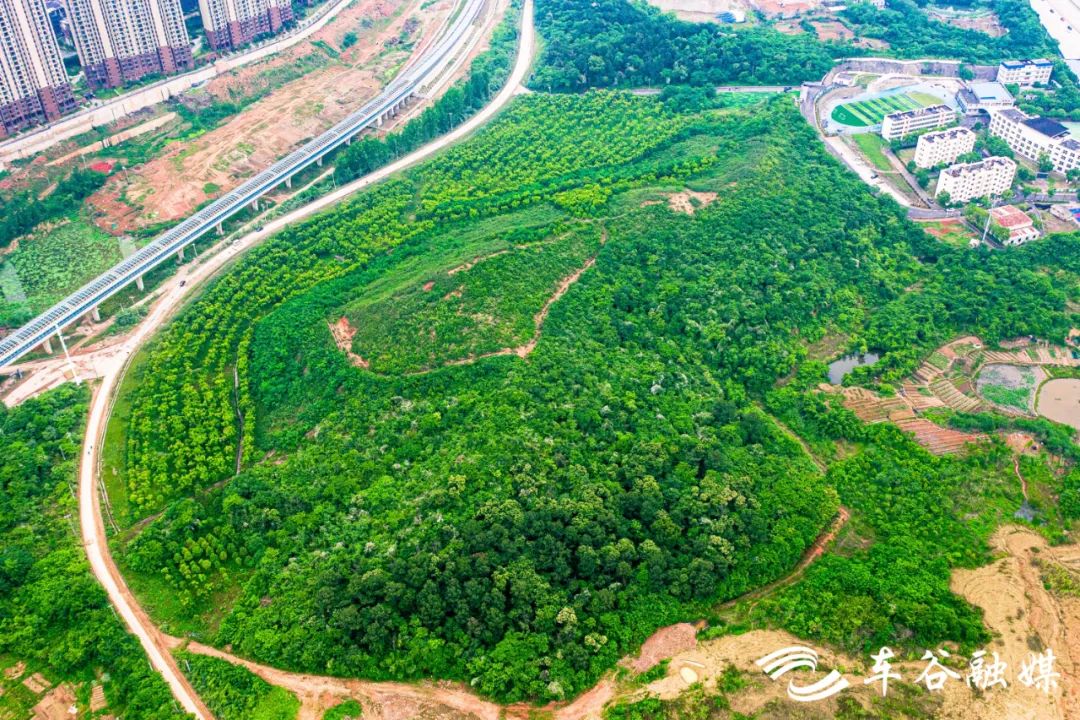 园林|一路向南，去车谷观山