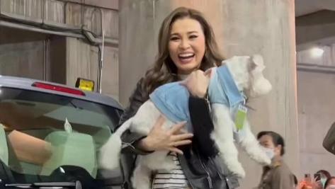 华少|苏提达抱狗观看鸟叔演唱会，独坐包厢心情好，不愧是宫斗赢家