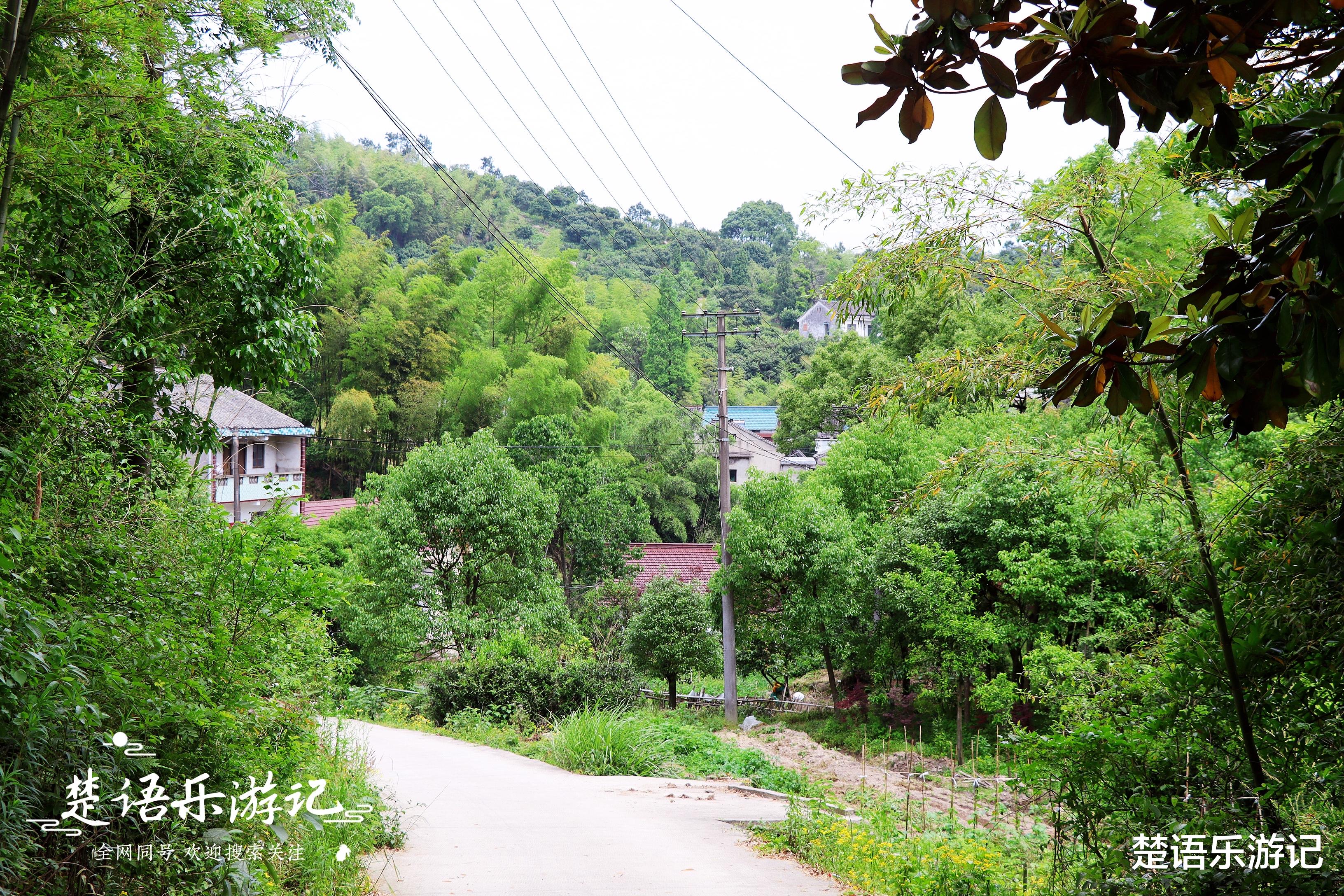 |浙江这里因盛产杨梅而得名，不仅有神奇的传说，还有美丽的风景