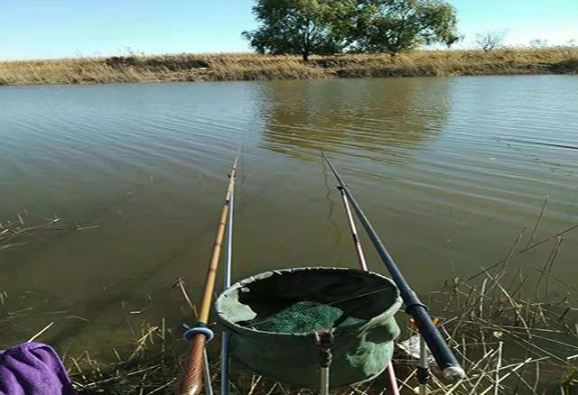 |野钓爆护不容易?趁早做好2件事,否则休想轻松爆护