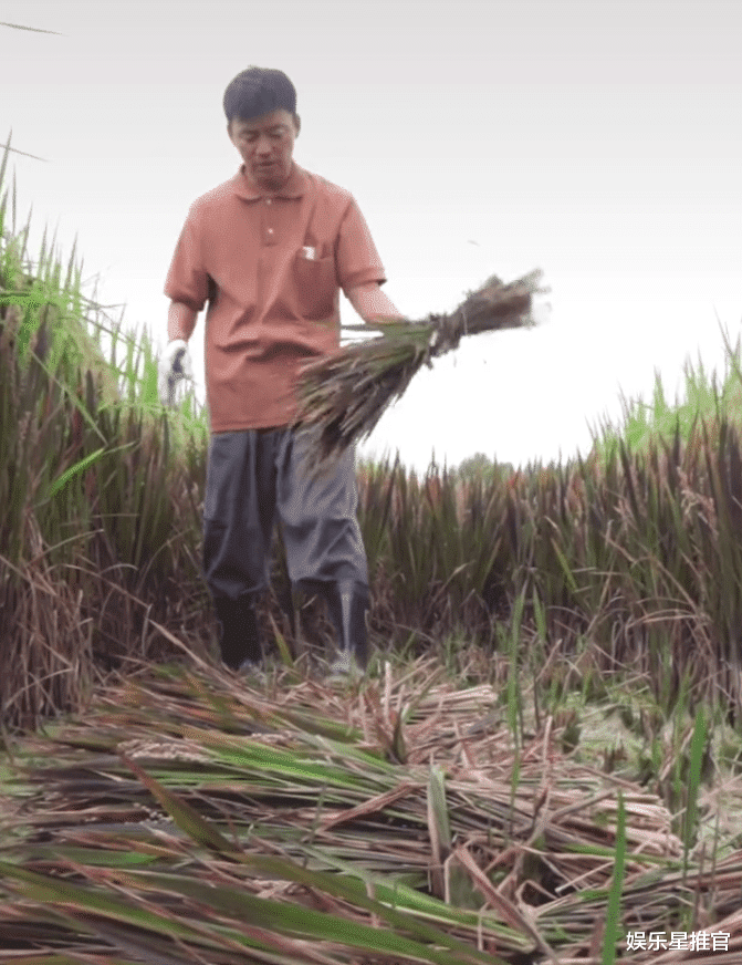 王宝强|王宝强穿着朴素下田里似农民,名模女友蹲地帮忙丝毫不嫌弃,男方却迟迟不娶她