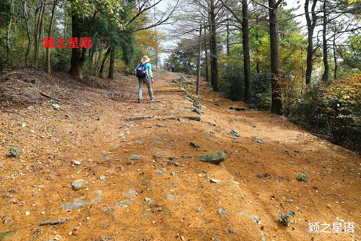 九寨沟|宁波第二条金光大道，走了还想走，赏景不忘植树人