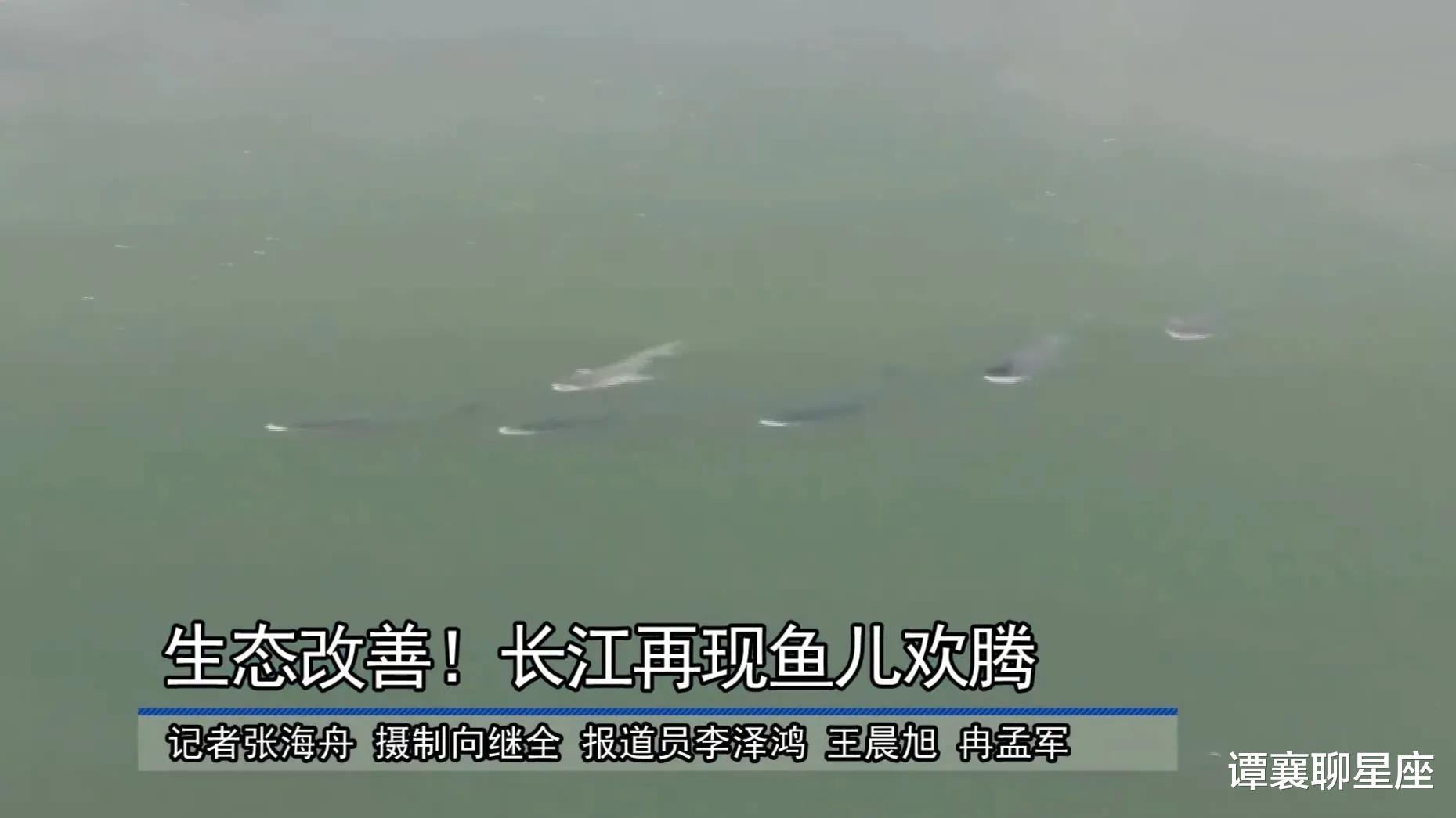 长江的“大试验”:宜都出现大量鱼卵,三峡水库洪峰见成效?