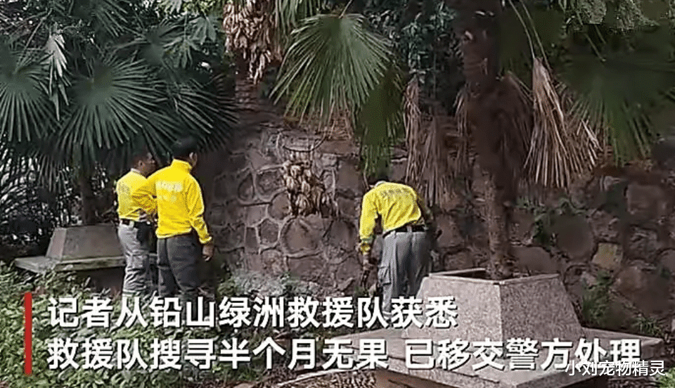 江西“胡馨宇案”发生48天后,真凶呼之欲出?真相比想象中更无聊