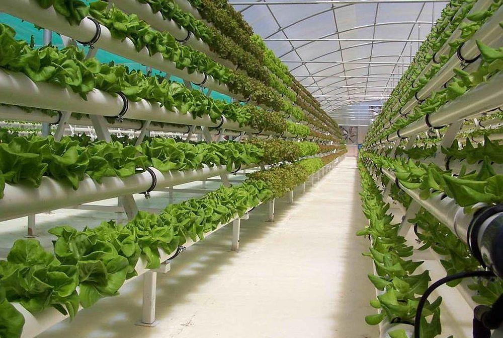 如果可控核聚变实现了,我们的生活会怎样?