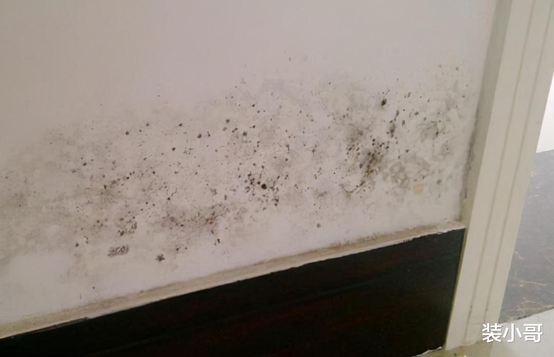 只有自己最靠谱！这4种建材一定要自己去买，轻易别让别人代劳！