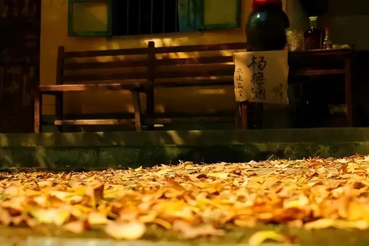 旅行社|这个秋天,你不能错过腾冲银杏村