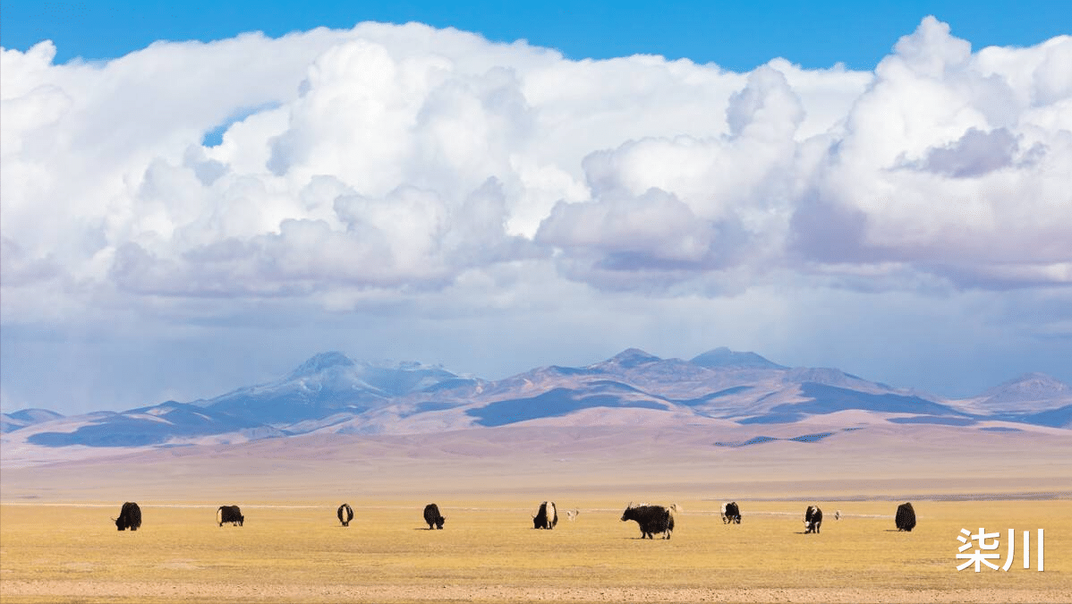 |国内的22个值得去的大草原,有大众也有小众,你都去过吗?