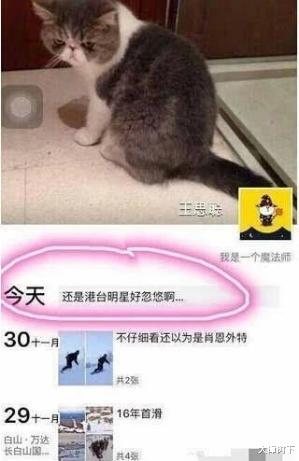 徐冬冬|2020年，王思聪爆潘玮柏娇妻猛料，效力于妈咪Amy，内涵是“高级交际花”