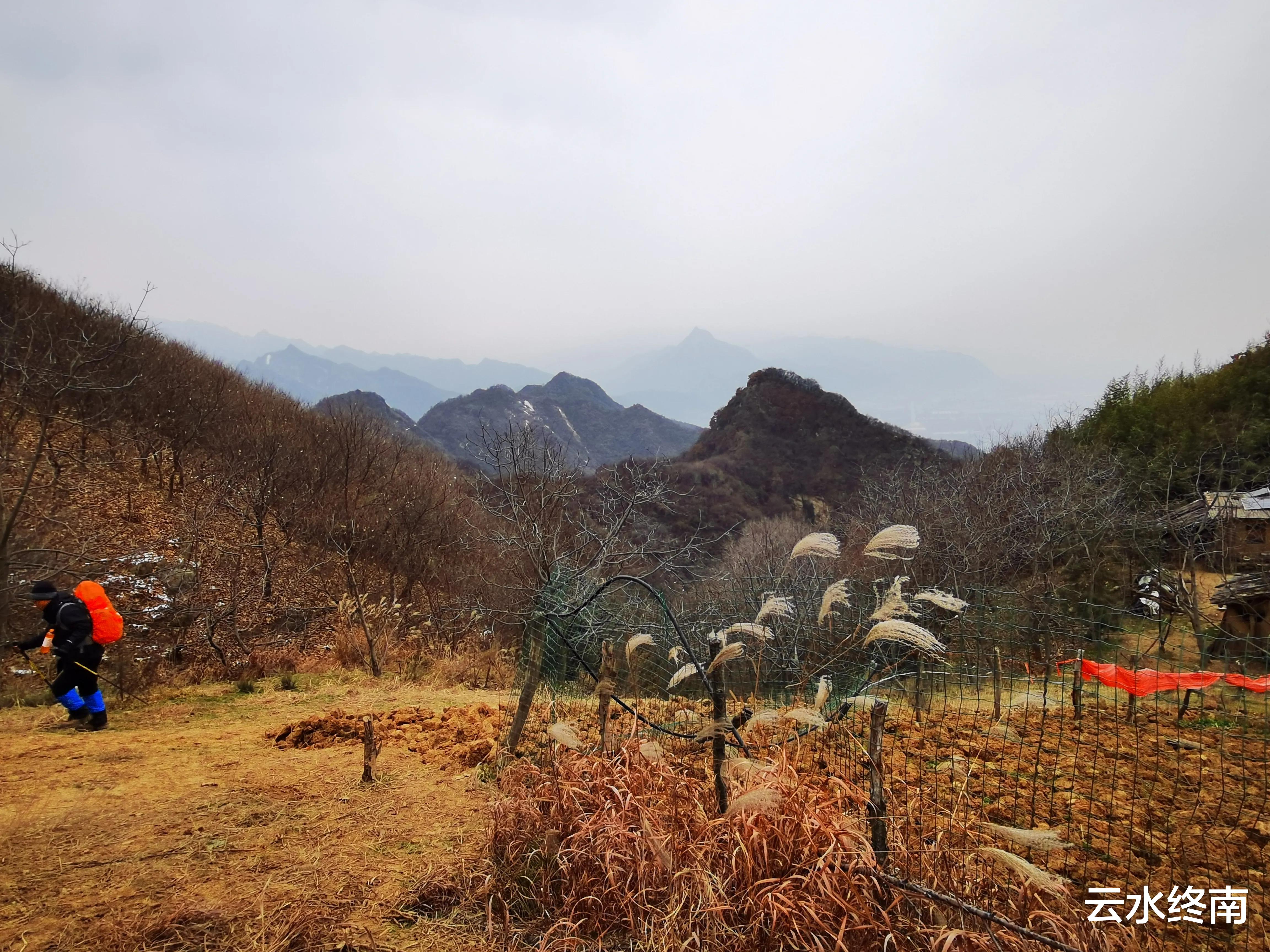 弥勒|海拔900米的秦北麓还有10多亩毛竹林,真是神奇