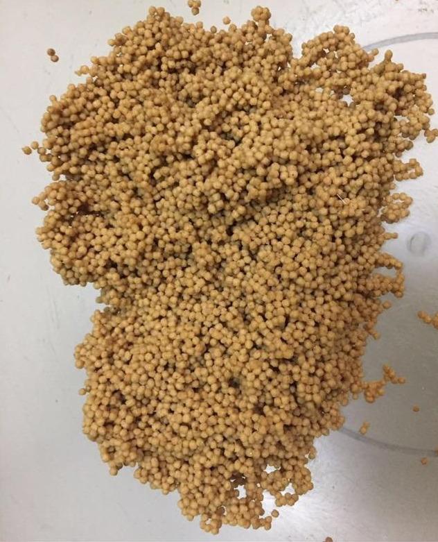 |七八月份如何掏黑坑，针对回锅鱼可以这样钓