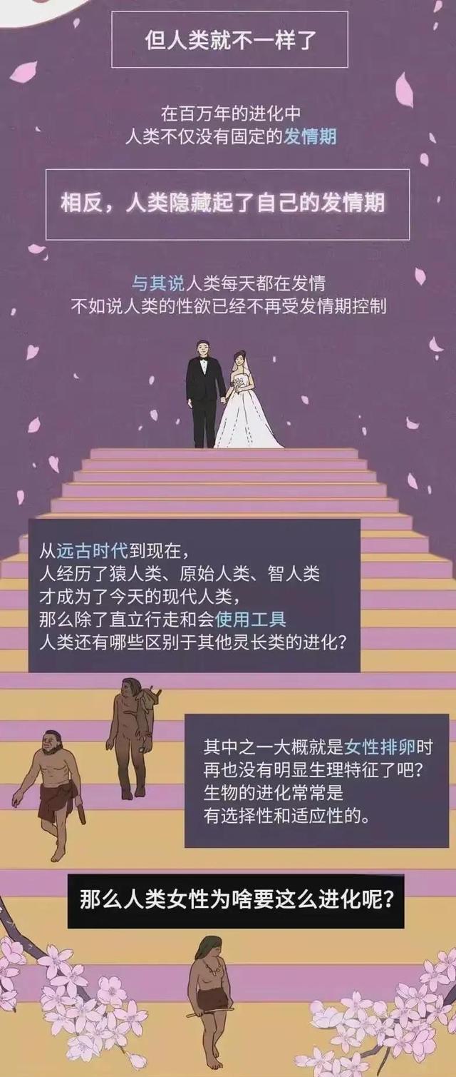 其他动物都有“发情期”,可何人类“全年无休”?(漫画)