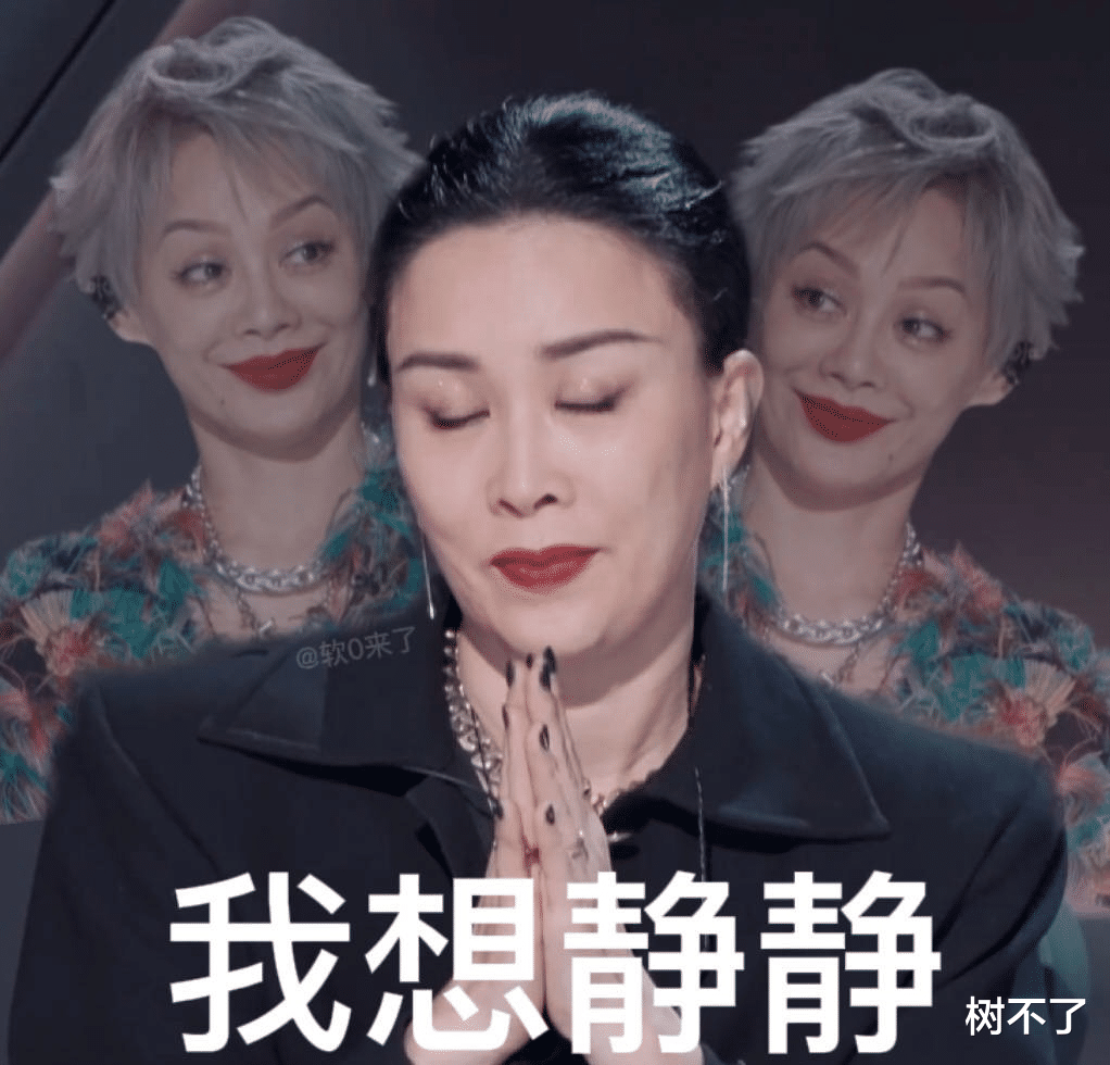 那英|娱乐圈唯一一对，互相“羞辱”却全网嗑的CP