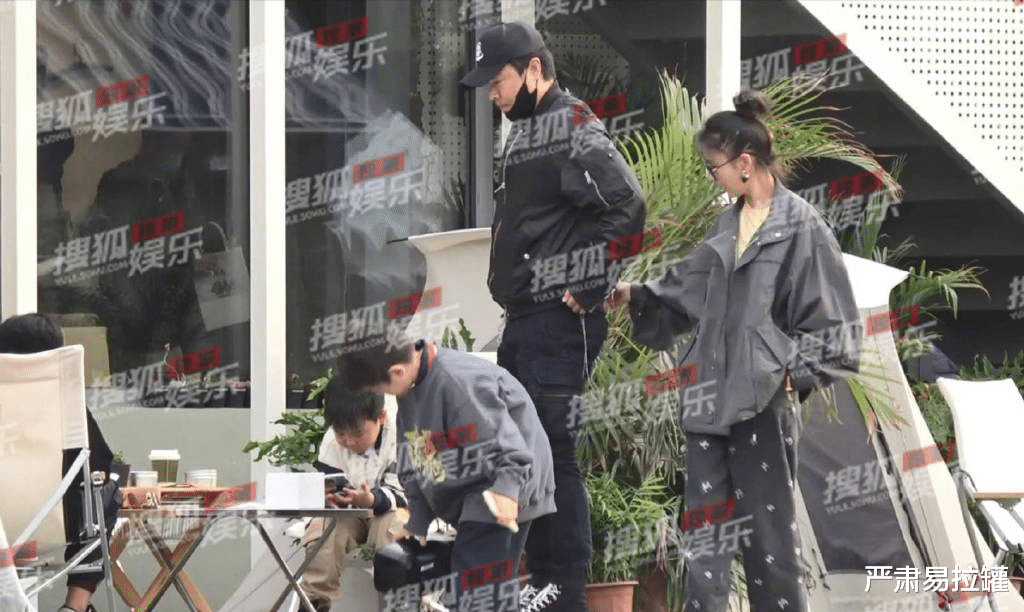 陈思诚|孕期出轨、新欢不断,这都能复婚?