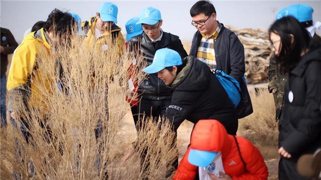 支付宝|19年马云承诺每年在沙漠里种1亿棵树,4年过去,现在树怎样了