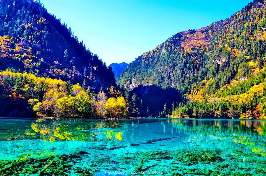 九寨沟|5A景区九寨沟，国庆首日只有1位游客，去年4万，啥情况？