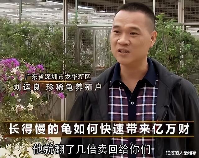 男子花百万买下三只臭龟,别人都笑他傻,谁知道四年后却靠龟翻身