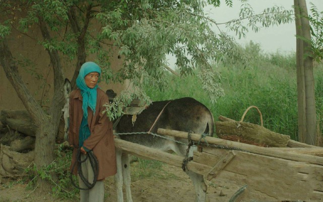 隐入尘烟|?《隐入尘烟》真实性存疑，两处逻辑漏洞藏不住